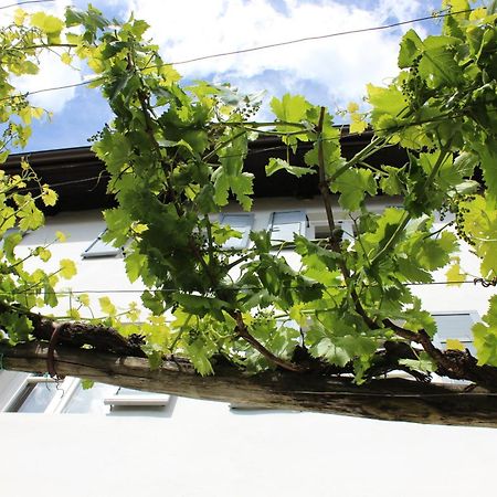 マルレンゴ Weingut Pardellerhofヴィラ エクステリア 写真